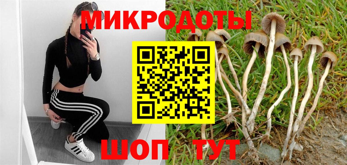 Галлюциногенные грибы Cubensis  Вход с VPN  Апатиты 