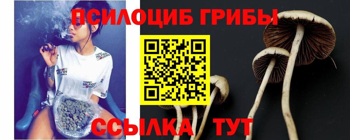 Псилоцибиновые грибы MAGIC MUSHROOMS Апатиты